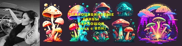 героин Алексин