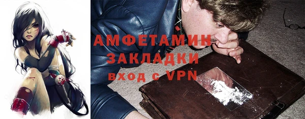 гашик Каменка