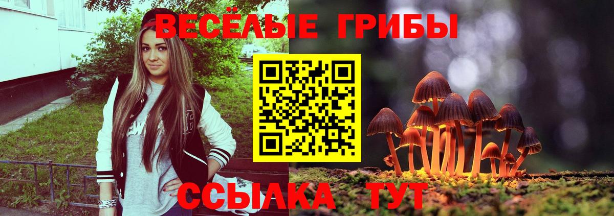 Галлюциногенные грибы ЛСД  Псилоцибиновые грибы GOLDEN TEACHER  Джанкой  Вход с VPN 